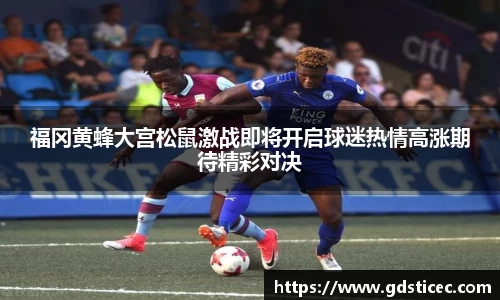 福冈黄蜂大宫松鼠激战即将开启球迷热情高涨期待精彩对决