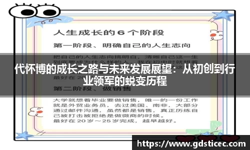 代怀博的成长之路与未来发展展望：从初创到行业领军的蜕变历程