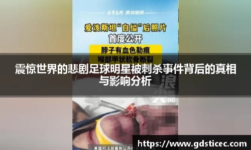 震惊世界的悲剧足球明星被刺杀事件背后的真相与影响分析