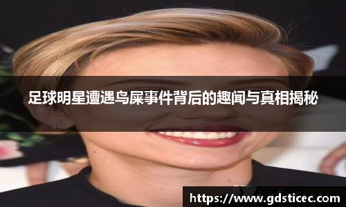 足球明星遭遇鸟屎事件背后的趣闻与真相揭秘