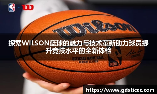 探索WILSON篮球的魅力与技术革新助力球员提升竞技水平的全新体验